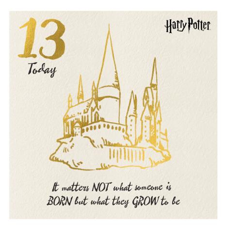 13 Today Harry Potter 13th Birthday Card £2.10